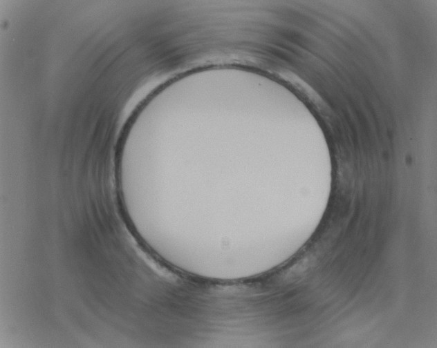 X0000076250894200610261937