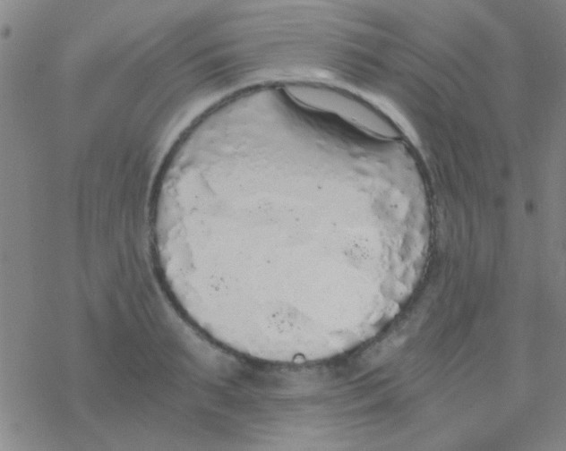 X0000076250895200610261937