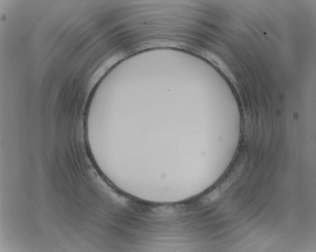 X0000076250898200610261937