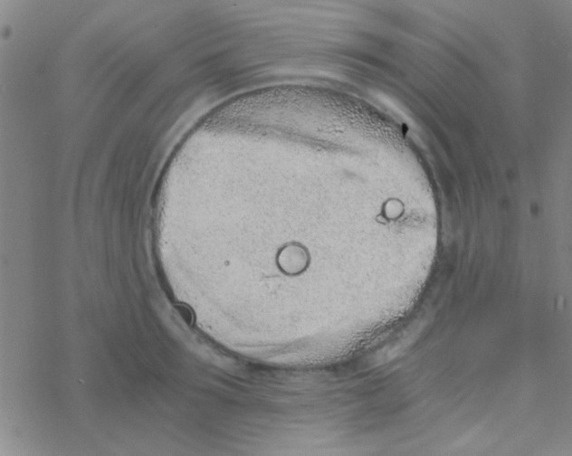 X0000076250899200610261937