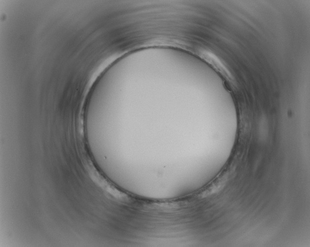 X0000076250900200610261937