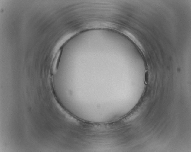 X0000076250901200610261937