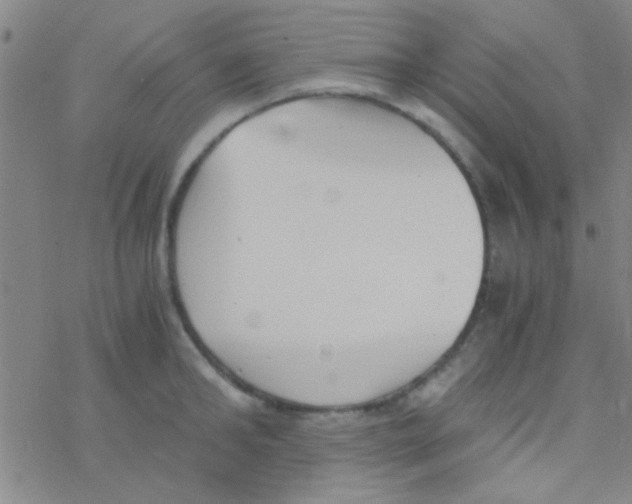 X0000076250902200610261937