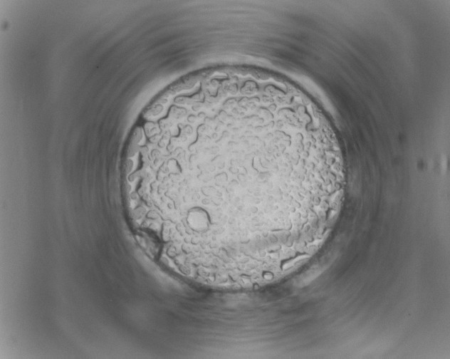 X0000076250903200610261937