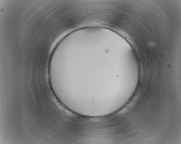 X0000076250904200610261937