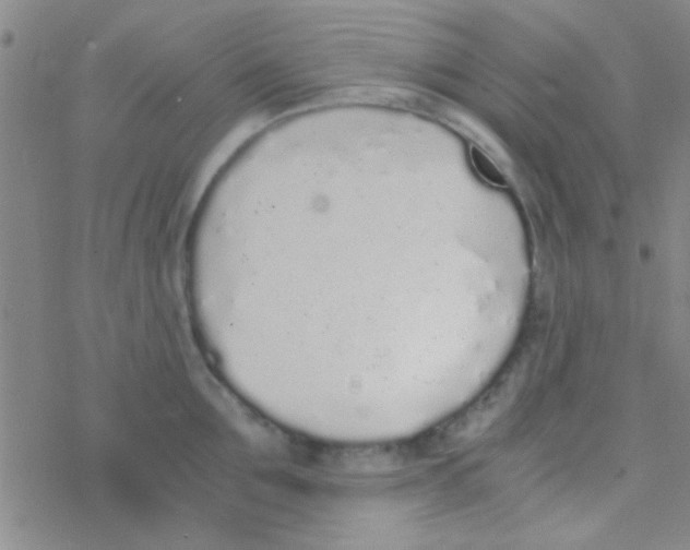 X0000076250907200610261937