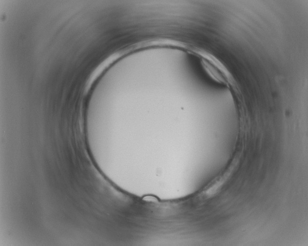 X0000076250910200610261937