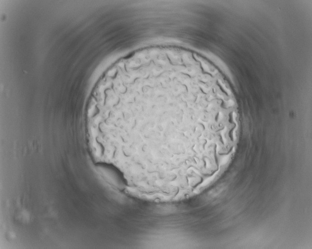 X0000076250911200610261937