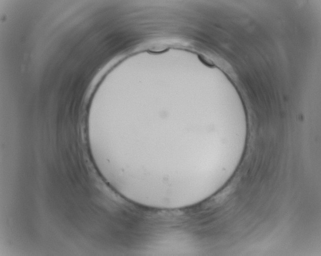 X0000076250912200610261937