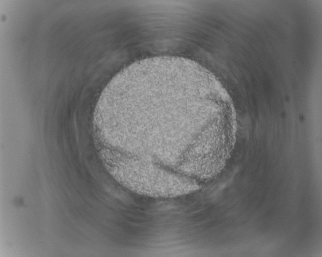 X0000076250913200610261936