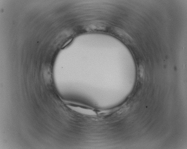 X0000076250915200610261936