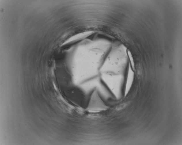 X0000076250916200610261936