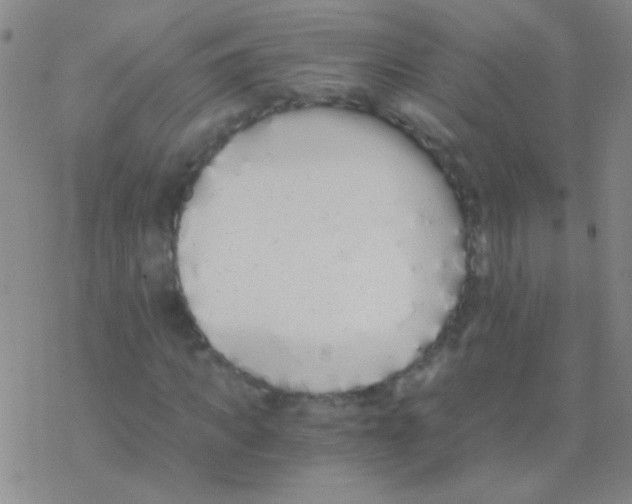 X0000076250917200610261936