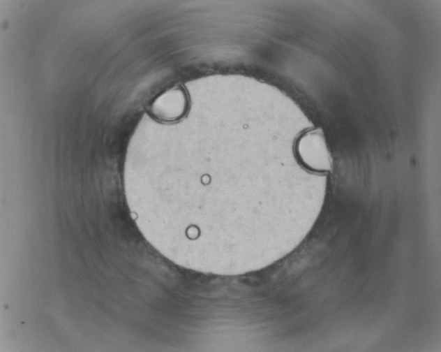 X0000076250918200610261936