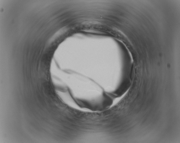 X0000076250919200610261936