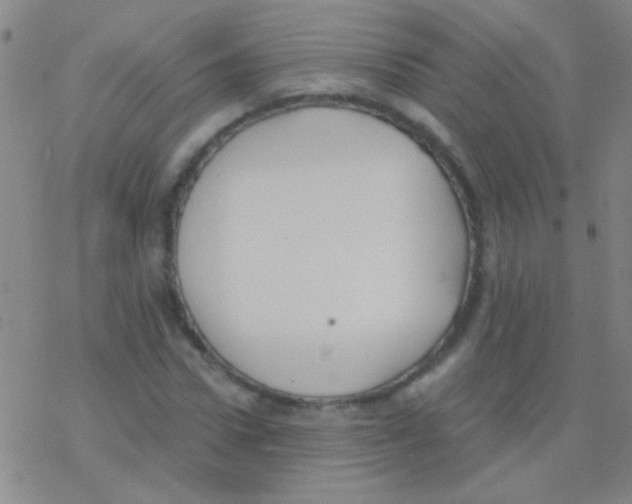 X0000076250922200610261936