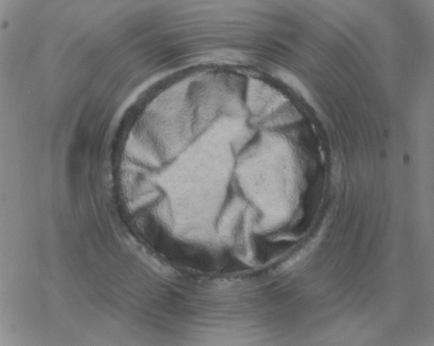 X0000076250923200610261936