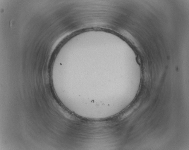 X0000076250924200610261936