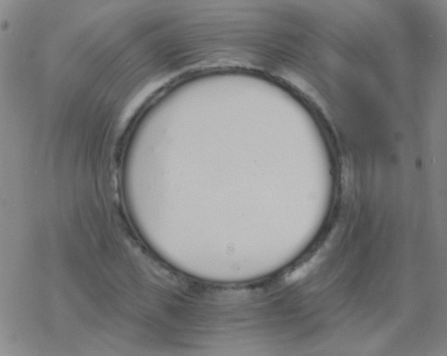 X0000076250925200610261936