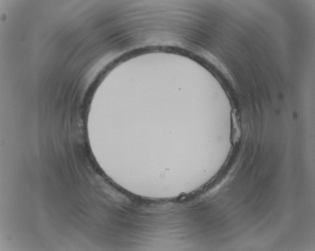 X0000076250926200610261936