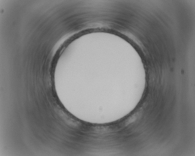 X0000076250927200610261936