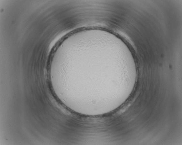 X0000076250928200610261936