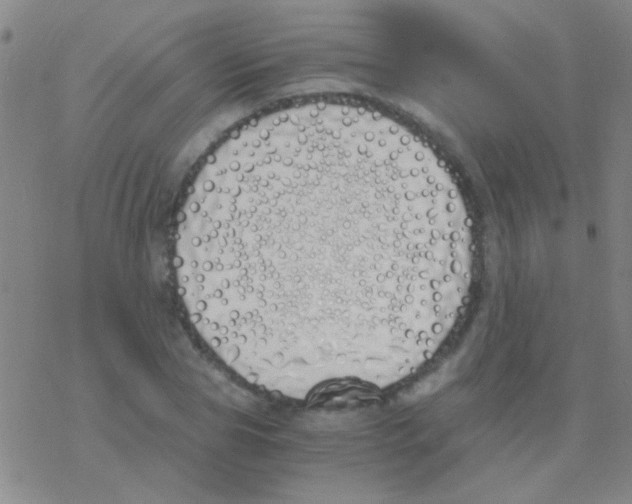 X0000076250929200610261936