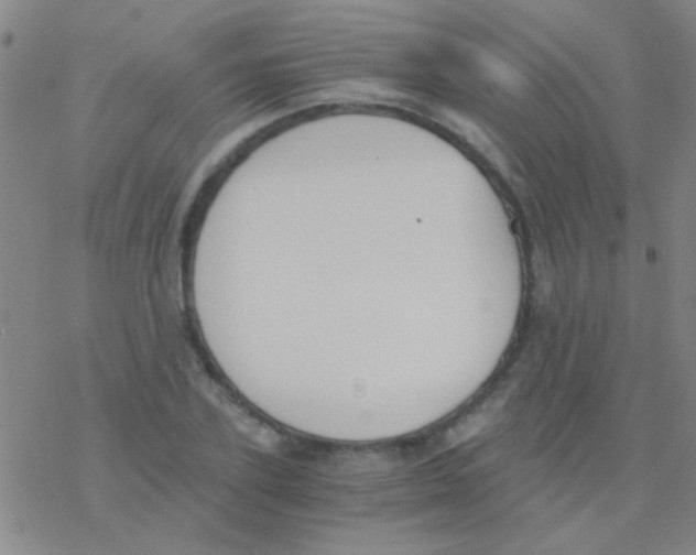 X0000076250931200610261936