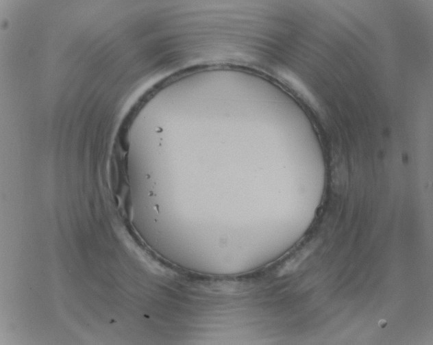 X0000076250932200610261936