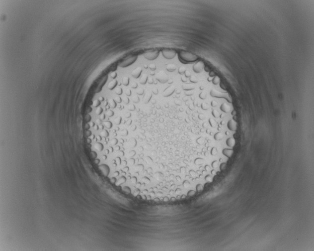 X0000076250933200610261936