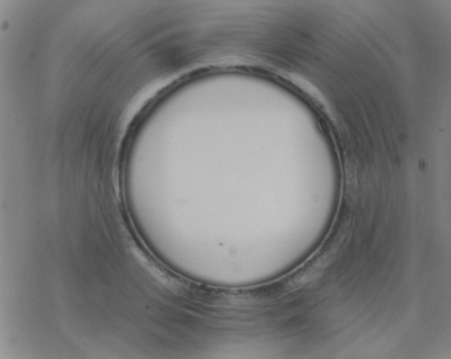 X0000076250935200610261937