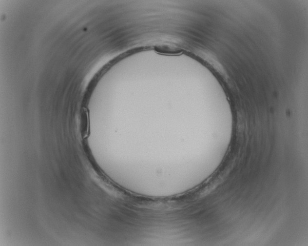 X0000076250936200610261937