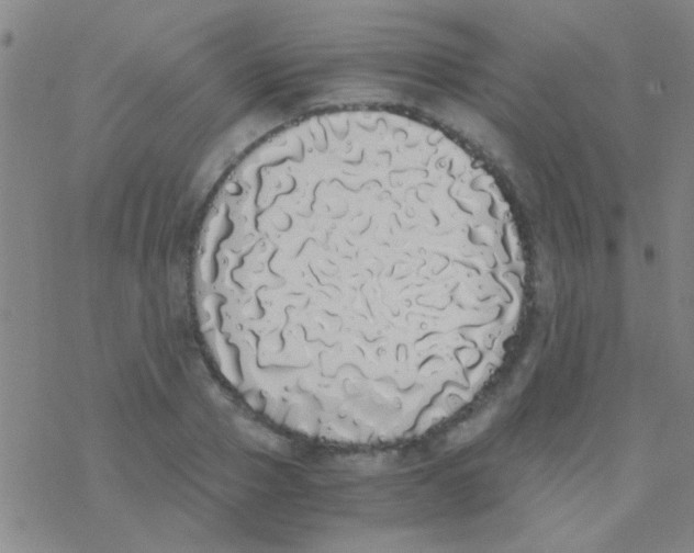 X0000076250937200610261937