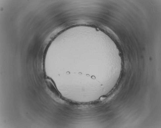 X0000076250938200610261937