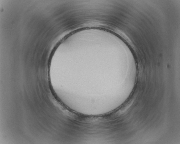 X0000076250939200610261937