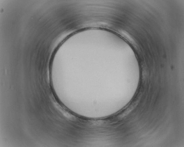 X0000076250940200610261937