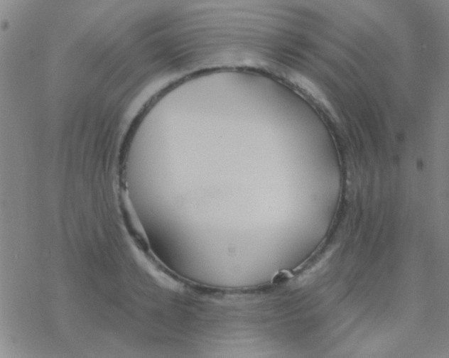 X0000076250942200610261937