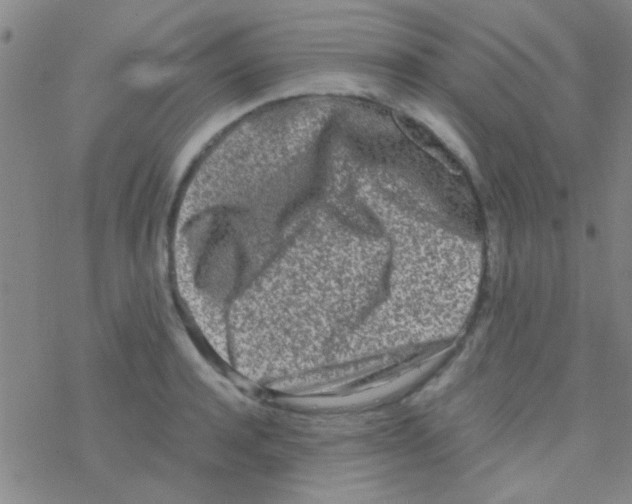 X0000076250944200610261937