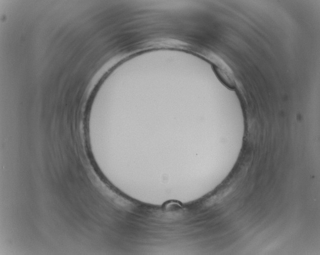 X0000076250947200610261937