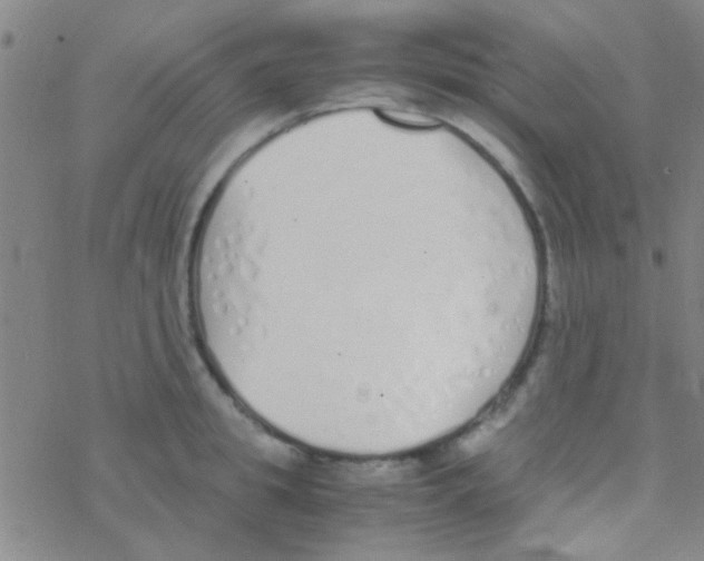 X0000076250949200610261937