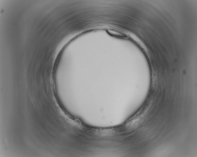 X0000076250951200610261937