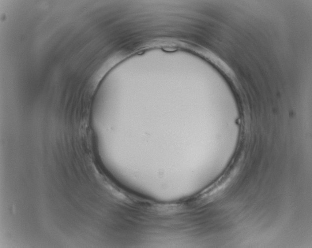 X0000076250953200610261937