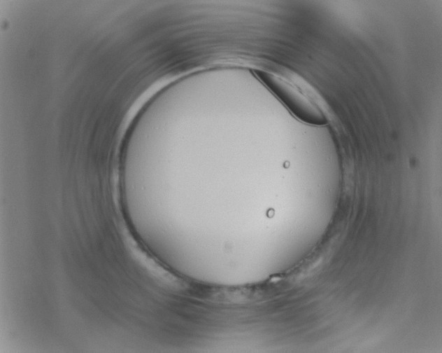 X0000076250955200610261937