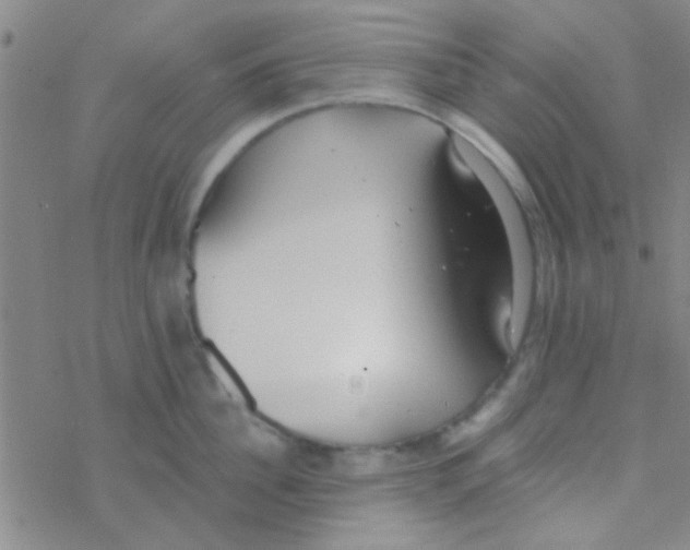 X0000076250956200610261937