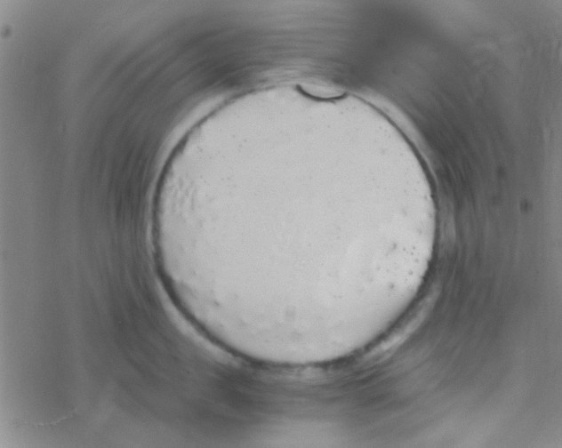 X0000076250957200610261937