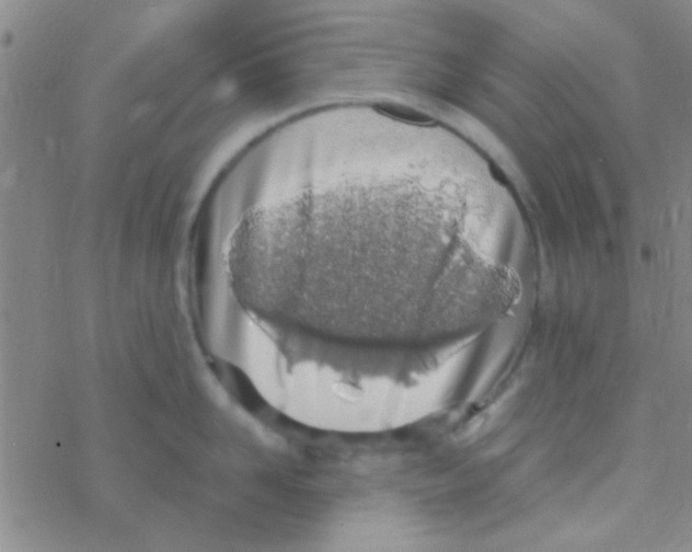 X0000076250958200610261937