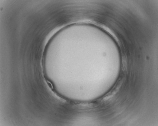 X0000076250959200610261937