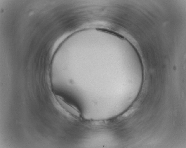 X0000076250960200610261937