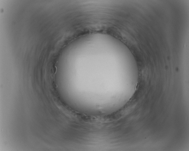 X0000076250961200610261936