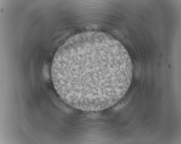 X0000076250962200610261936